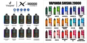 VAPANDA SHISHA20000 E Hookah