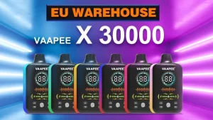 VAAPEE X 30000