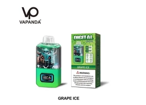 DIGITAL-28000-Grape-Ice-1