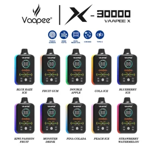 VAAPEE X 30000-1