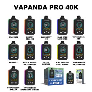 Beyond the Puff Count 5 Unexpected Features of the Vapanda Pro 40000