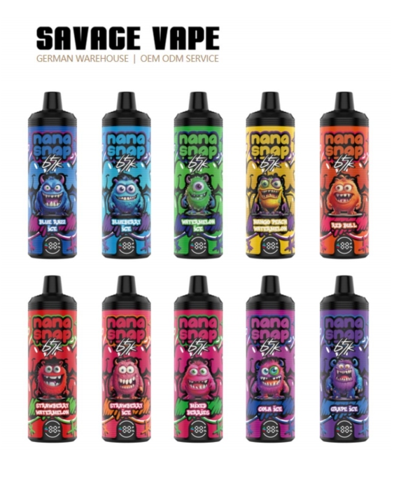 The Convenience of All-in-One Why Choose a 65000 Puff Disposable Like NANASNAP SHISHA